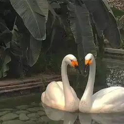  背景图有时候心里很难过嘴上却很难说