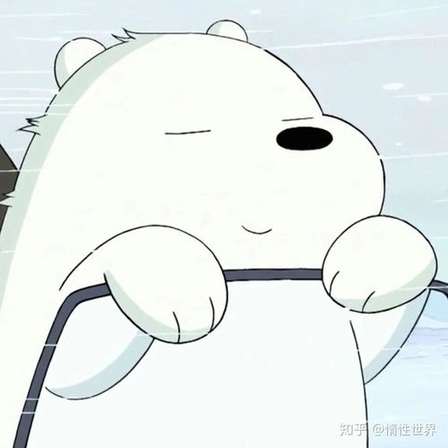  咱们裸熊白熊头像