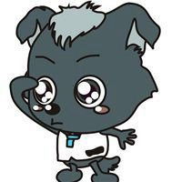  小灰灰微信头像超级可爱微信头像图片大全