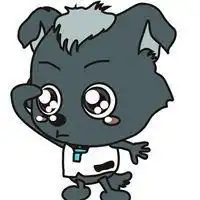  小灰灰微信头像超级可爱微信头像图片大全