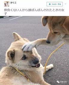  趣闻六则被关系并不好的人摸头时的妹子的心情等