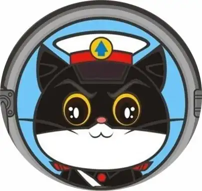  化解矛盾维护社区平安,宝山这位黑猫警长你认识吗
