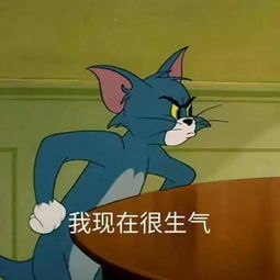 头像猫咪图片情侣头像汤