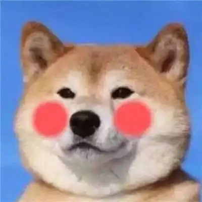 萌宠情侣头像一左一右一对两张情侣头像猫狗可爱卖萌 萌宠情侣头像一左一右一对两张情侣头像猫狗可爱卖萌