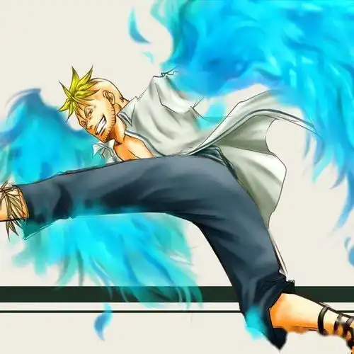  海贼王头像菠萝头