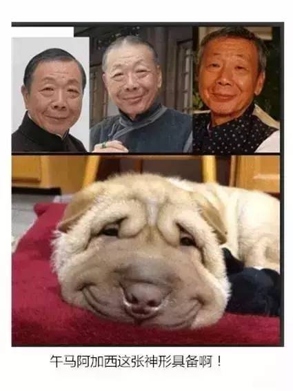  这条微信可把我笑喷了不信你看看,笑不晕你我砸手机