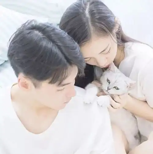  情头你好,我叫b数,请心里有我