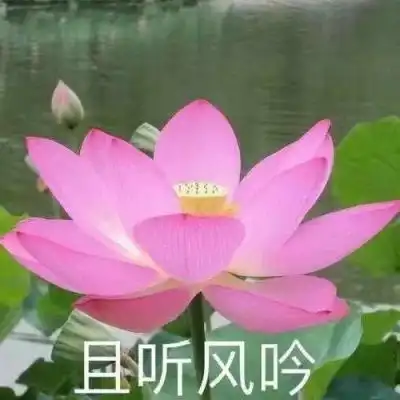  j9平台app
