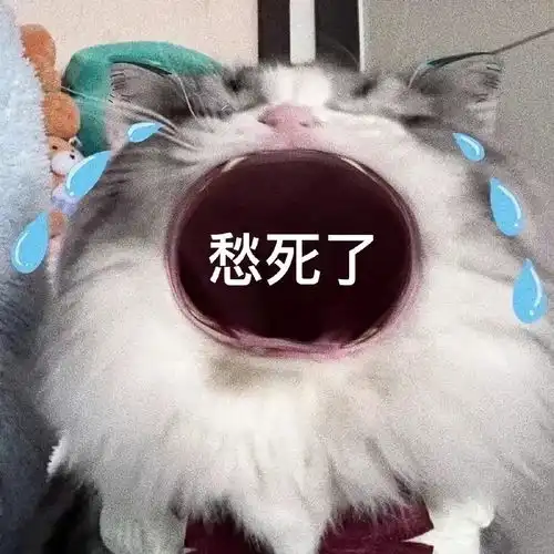 男孩和猫情侣头像表情包