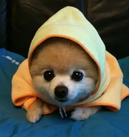  搞笑段子要不咱们各给各的吧,我的钱也不够