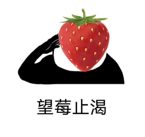  沙雕谐音梗表情包艾鼬卧草