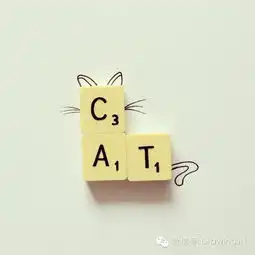 猫喵桑的创作历程zcool 猫喵桑的创作历程zcool