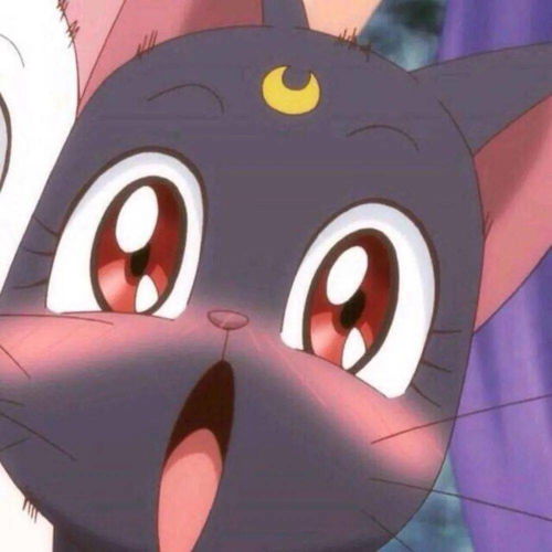  今日情头心有猛虎细嗅玫瑰