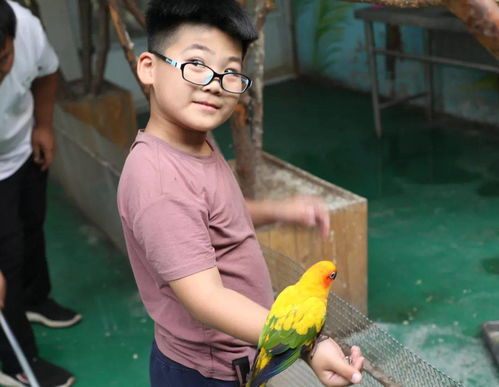 濮阳人不会玩抖音这位老板不相信花费数万元寻找抖音大神....