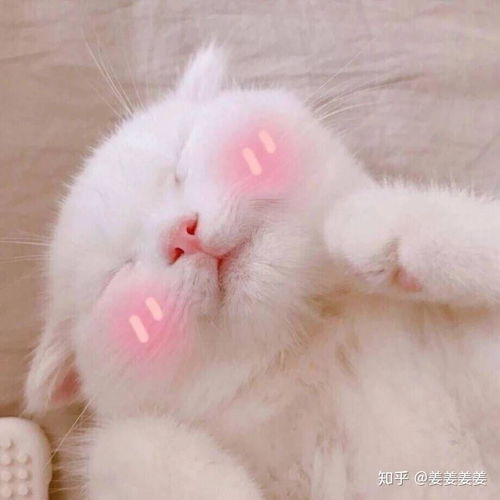  洁面乳选择正确的重要性