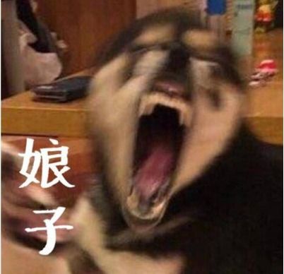  笑yue了老爸语重心长的说,傻孩子,方圆百里哪有比咱家还穷的