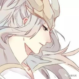  王者荣耀不是每个韩信都能自称梦泪玩家自称梦泪结果怒坑队友