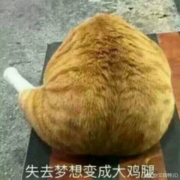  失去梦想会变成大鸡腿