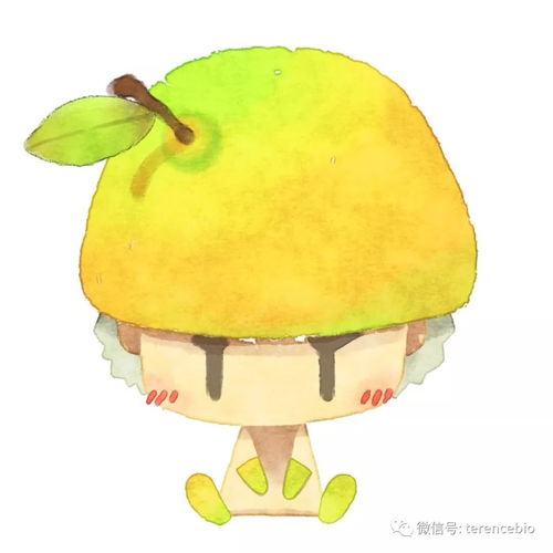  特伦斯健康快讯柚子的秘密