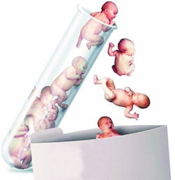  不孕不育与试管婴儿