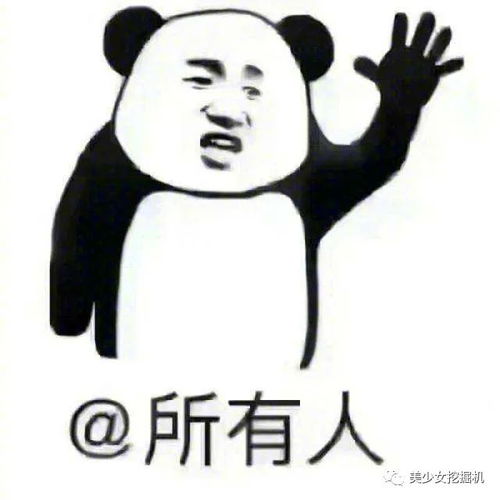  收入高居全抖音top1的情侣连爱情甜度都比别人高