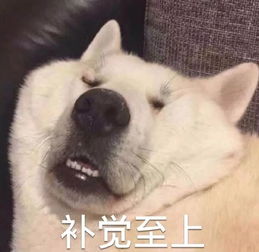  据说,下班后的你才是真正的你进来对号入座
