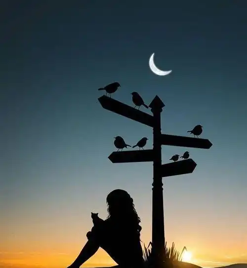  怎样的女人才会得到男人的喜欢