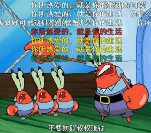  小破站上线海绵宝宝,网友截了张图,结果客服说涉嫌人身攻击