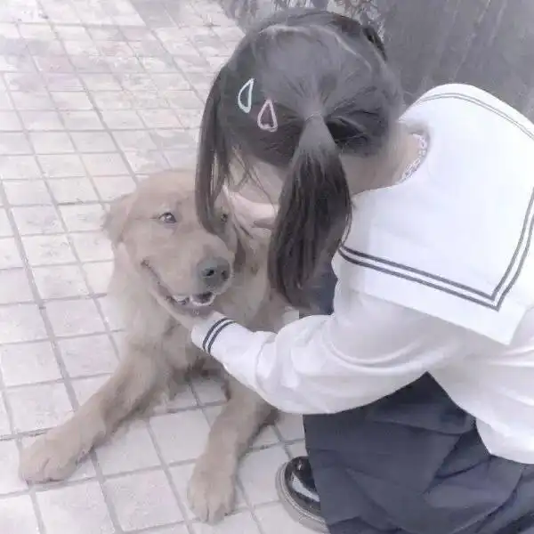 情侣头像丨另一半不是人系列 情侣头像丨另一半不是人系列