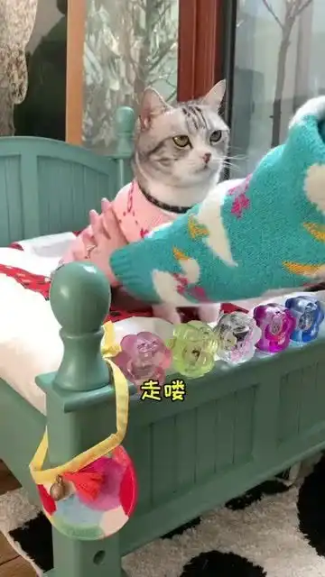  猫老板给公司的小伙伴们准备了年货,祝大家都开开心心,红红火火6945