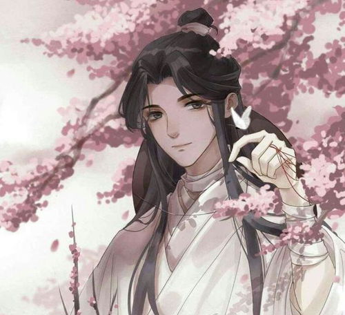  高级且小众的神仙网名,建议点赞收藏码住
