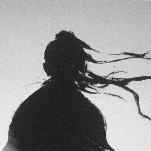 情侣头像.古风蒲公英