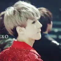 北京网上哪有卖普洱茶的 北京网上哪有卖普洱茶的