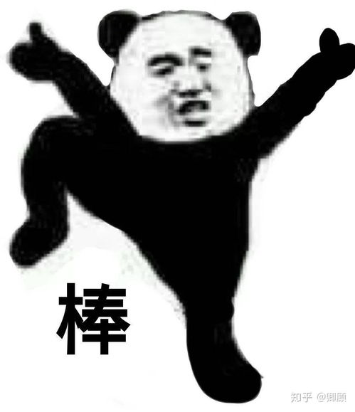 暴走熊猫表情包头像王国