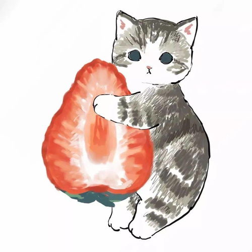  可爱的猫咪头像来了,猫咪情侣头像,冬天头像