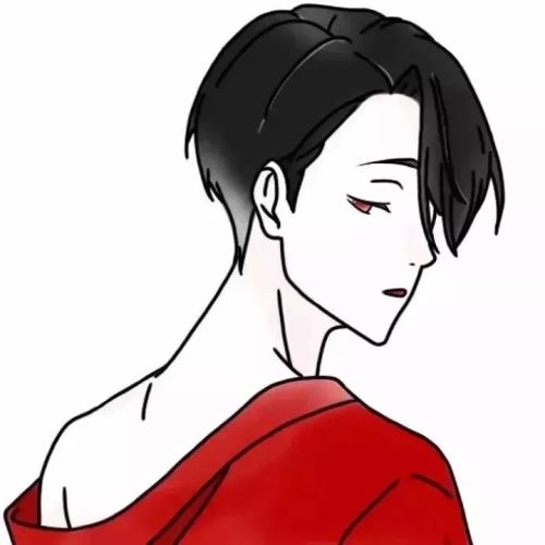  哔哩哔哩专栏