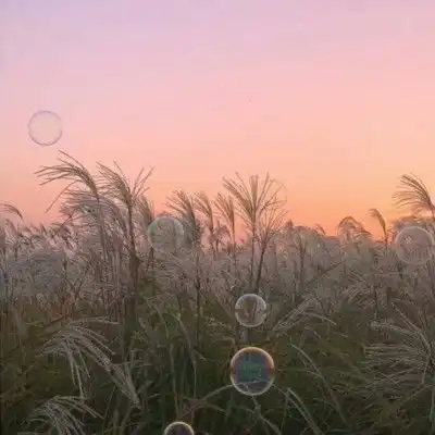  比水还干净的qq置顶句子,度娘都搜不到,酷girl快收藏