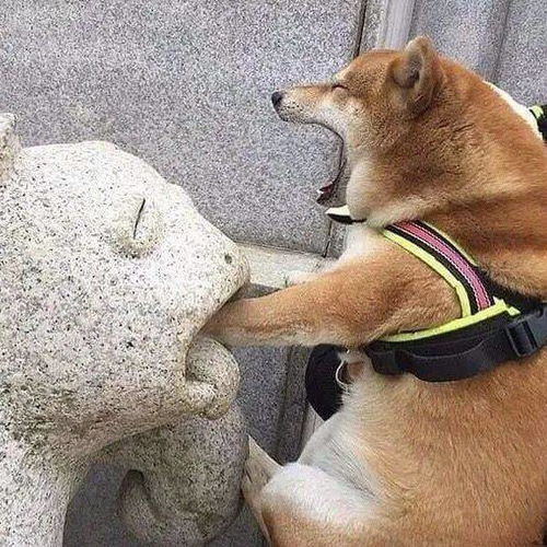  头像整理一些不烂大街的生日文案