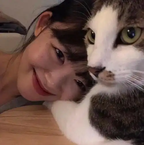男孩和猫情侣头像奇葩