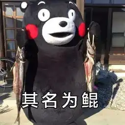  人人都想去的张家界玻璃栈道出事了坠石突然滚落,砸中女子