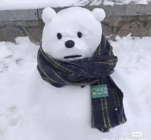  一年一度雪人大赏哈尔滨实现雪人自由,堆雪人成美术生专场