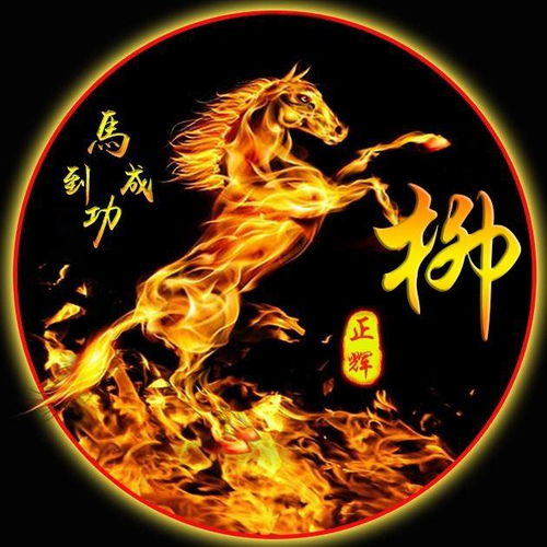  艺术签名微信头像,高端创意大气励志姓氏头像,你喜欢哪一个