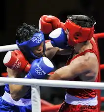 拳击81公斤级中国收获金牌殊死挣扎 拳击81公斤级中国收获金牌殊死挣扎