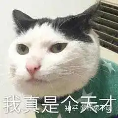  有没有比较搞怪的文案和表情包,来分享下吧