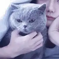 情侣头像女朋友不是人少
