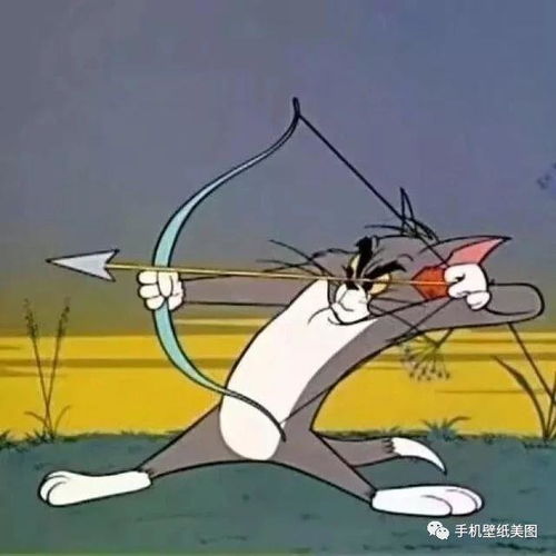  抖音超火头像情侣,猫和老鼠头像大全