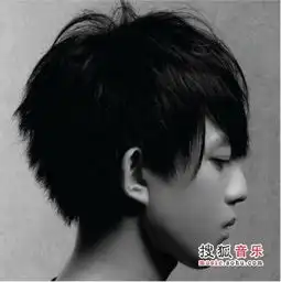  谁能给我林宥嘉的照片