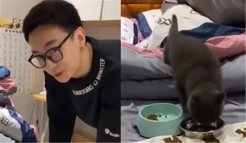  男子情人节送女友一只小猫咪,女友很开心,同时也暴露了自己的私房钱