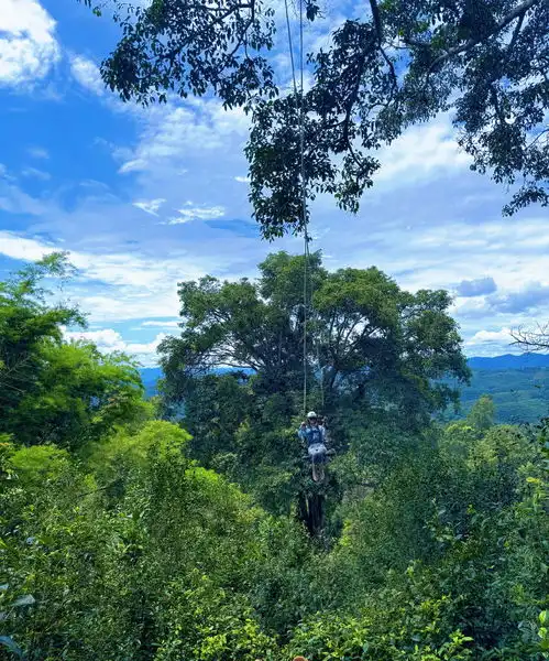 张馨予与老公拍情侣头像大方秀恩爱何捷一身腱子肉身材好 张馨予与老公拍情侣头像大方秀恩爱何捷一身腱子肉身材好