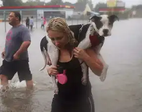  哈维5天把休斯敦一年的雨都下了上万人进避难所生活是种怎样的体验